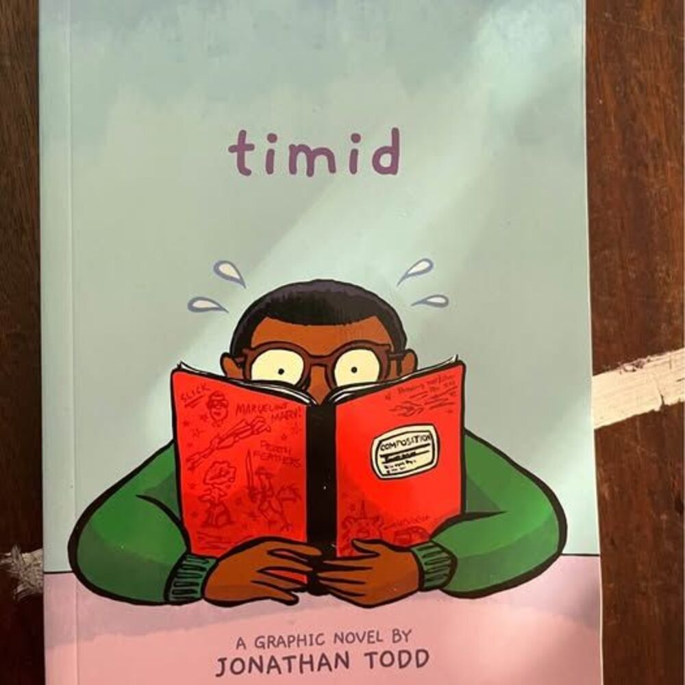 Timid: A Graphic Novel by Jonathan Todd